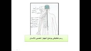 الرسومات المتوقعة في الشهادة في العلوم الطبيعية 4 متوسط