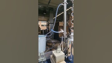 Stripping run of a panela based rum. Down to 30 proof and still so good! #rum #liquor #distillation