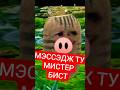 МЭССЭДЖ ТУ МИСТЕР БИСТ #sleduck #sledovatel #xkamysh #камыш #maroosha #vtuber #втубер #нарезки #юмор
