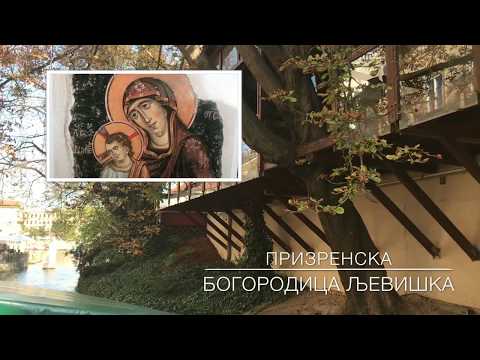 Суза Косова на