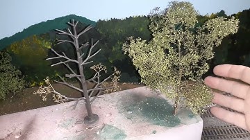 Curve Heading to the Coal Mine Part 3 Forest floor