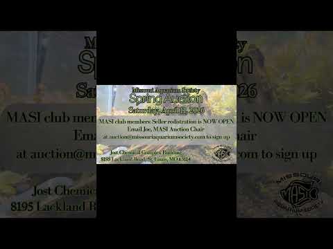 MASI club members can now sign up to sell at the April 11th Spring Auction! To sign up just email Jo