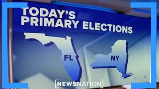 Primary elections in New York and Florida | Early Morning