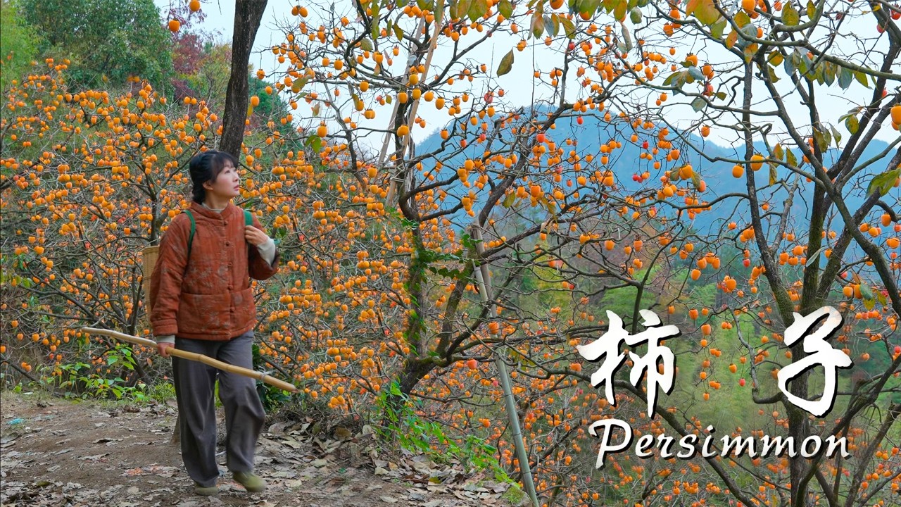 May the red, red persimmons bring you a happiness, prosperity new year!愿一串串的红柿子在新的一年给大家带来万事如意