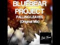 Bluebear project  falling leaves  out now