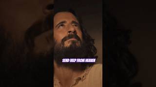 Desperate - Jamie MacDonald 🔥