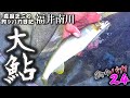 【尺鮎狙いシリーズ】秘密の川で大アユ釣りに挑戦！福井県南川