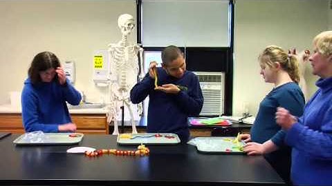 Accessible Science: Making Life Sciences Accessible to Students with Visual Impairments