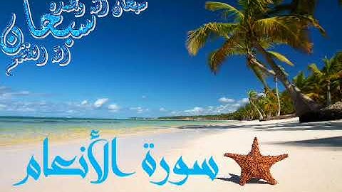 سورة الأنعام ماهر المعيقلي