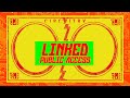 CIRCUITRY 3.0 Linked Public Access: Leon Fit (Mad Gavs DJ Mix)