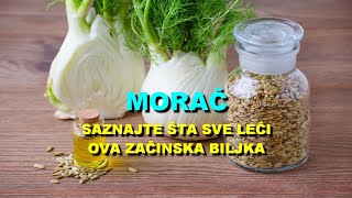 MORA? - SAZNAJTE TA SVE LE?I Ova ZA?INSKA BILJKA