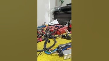 RB25 Engine Harness Haltech Ecu Sport 2000#Momin Care Electician#shorts