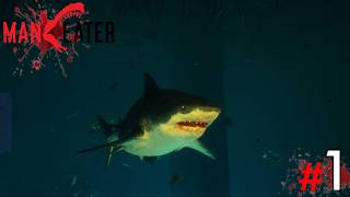 WE ARE JAWS!!! - Maneater Gameplay | Part 1