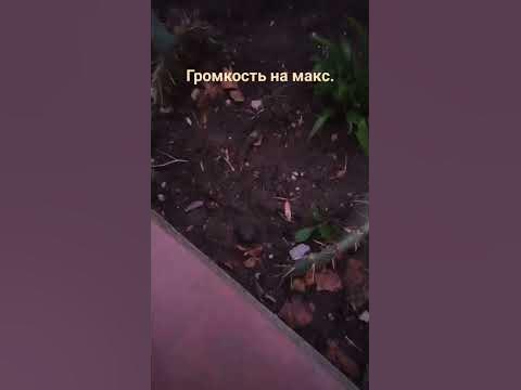 Взрывающие чесночки🫠 часть 1 - YouTube