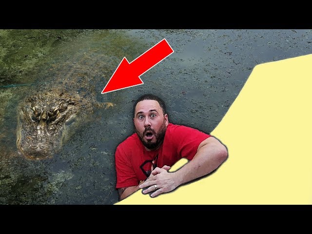 Real Monster Living In My Pool (Not Clickbait)