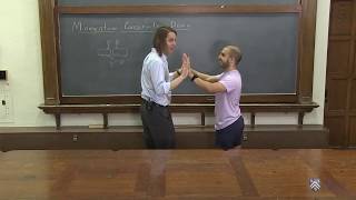 Momentum 3 - Momentum Conservation Demo