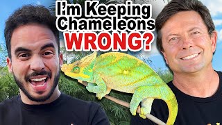 Advanced Chameleon Husbandry: Breaking New Ground (CBE Podcast) by TikisGeckos 972 views 2 months ago 1 hour, 15 minutes