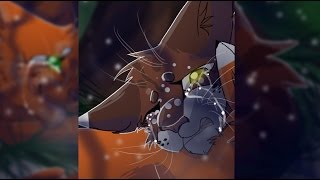 Squirrelflight and Leafpool (Warrior Cats Speedpaint)