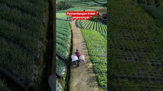Pemandangan Indah Indonesia asmr keretaapi sctv sawah indah pemandangan gunung air