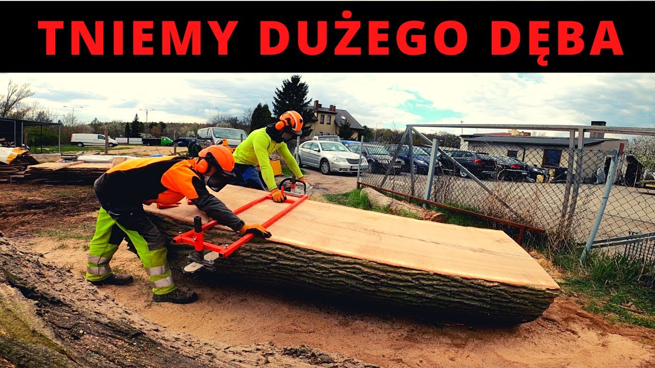 Tniemy dęba na deski - PONAD 110CM ŚREDNICY - Trak z pilarki spalinowej