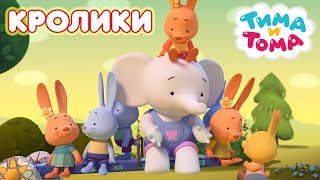 Тима и Тома. Кролик | Сборник лучших серий про Кроликов! Тима и Тома. Кролик | Сборник лучших серий про Кроликов!