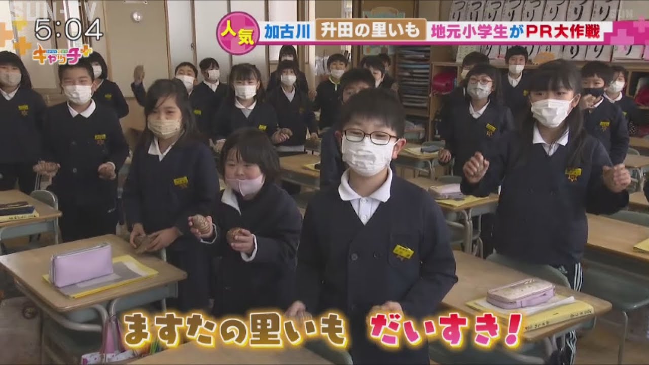 加古川市、升田のサトイモを小学生が応援