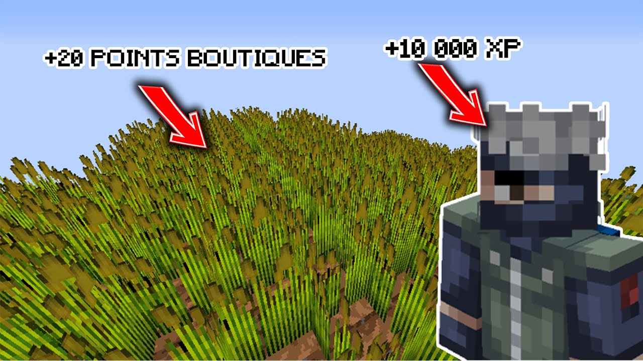 SkillPvP V12 - CES 3 ITEMS CHEATÉS POUR AVOIR MASSE MONEY !