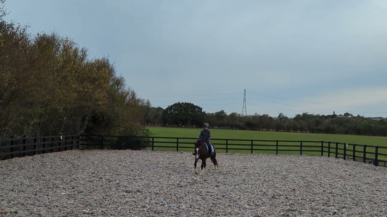 Cdrc intro 2. Bobby dazler 