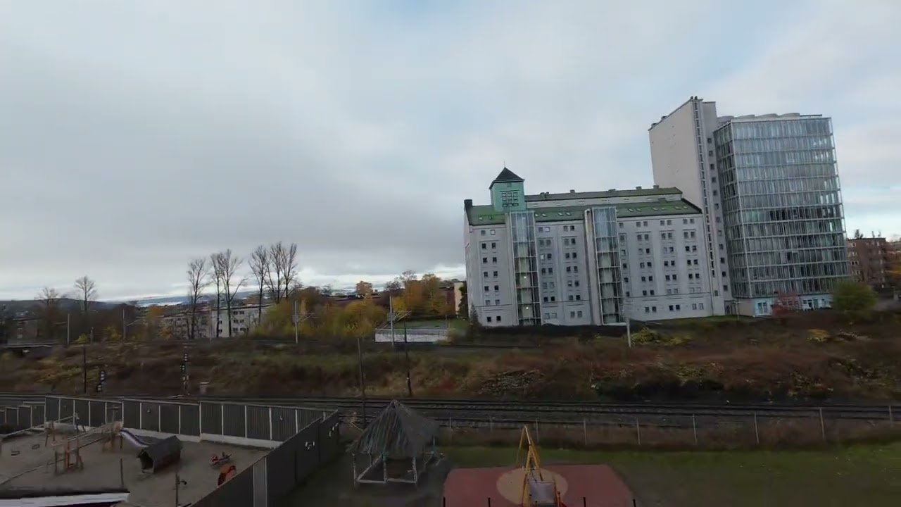 The bird attack - did not see that coming 