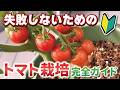 その育て方、実がつきません。家庭菜園で学ぶトマト栽培
