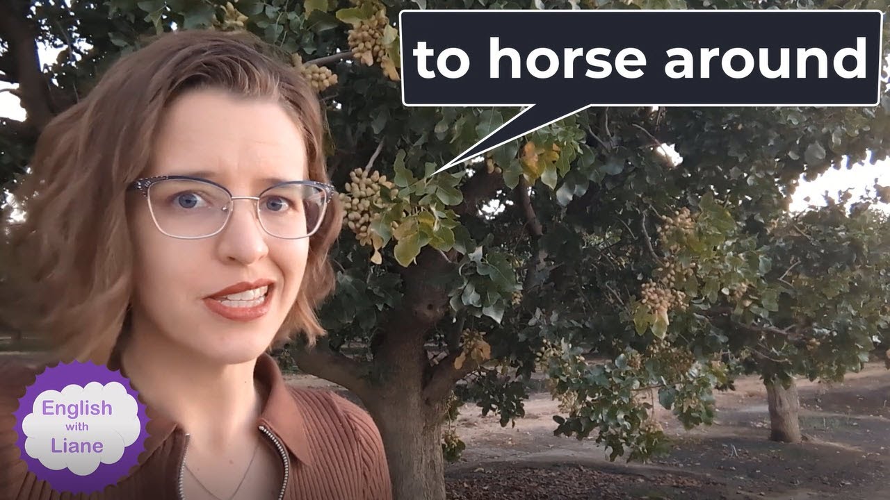 Phrasal Verb to horse around YouTube