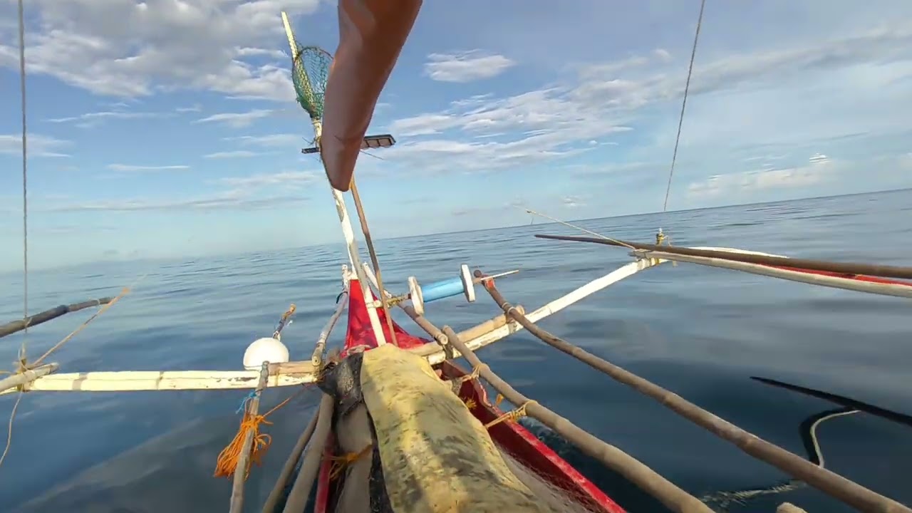Beach house, Bicycle repair and fishing