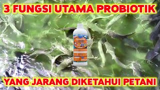 3 Fungsi utama PROBIOTIK yang jarang diketahui