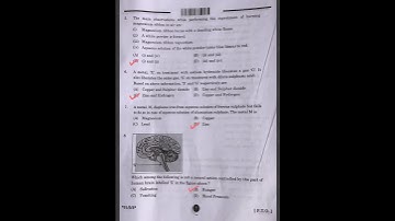 Class 10 Science | CBSE 2025 exam paper | Answer Key | Set-2, Section-A