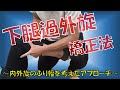 vol.391 下腿過外旋に対するアプローチ法　～内外旋のふり幅を考えて～