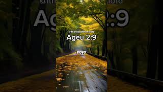 Ageu 2:9 #ageu #fé #bibliasagrada #amém #reflexão