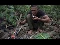 New journey  2 years of survival in the rainforest  episode 1