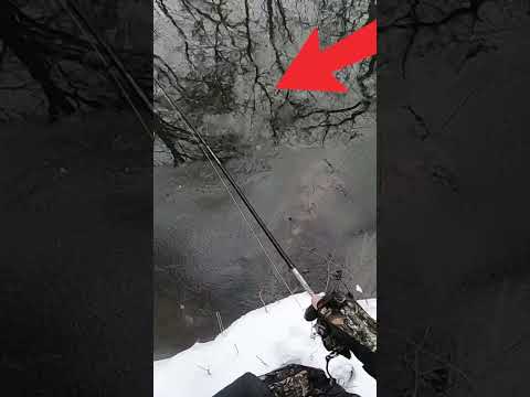 Pohádkové rybaření/Winter spining