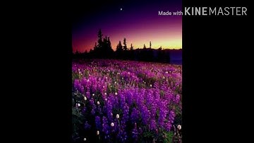 القرآن الكريم سوره الفاتحه وسوره الحجر ثلاثي الابعاد