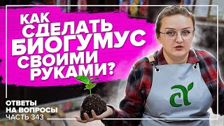 КОМПОСТ ДОМА. ЛУКОВАЯ МУХА. КИСЛАЯ ПОЧВА. ПОСЕВ ЛУКА ОСЕНЬЮ. ОТВЕЧАЕМ НА ВОПРОСЫ