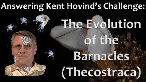 Evolution of Barnacles - Answering Kent Hovind