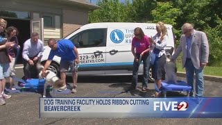 New dog training facility in Beavercreek