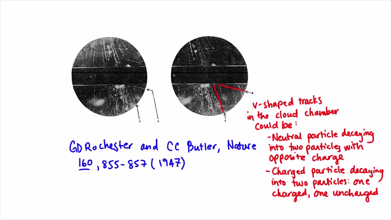 Hadrons - Strangeness | Standard Model | meriSTEM