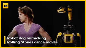 Robot dog mimicking Mick Jagger and his Rolling Stones bandmates