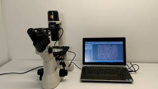 Nikon TS100-F Inverted Microscope Pred Ts2 [BOSTONIND] - 14404
