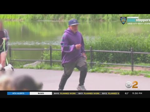 Video: Expediere La Prima Persoană: Numărătoarea Umană în Parcul Central Din New York - Rețeaua Matador