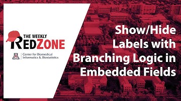 REDZone - Show/Hide Labels with Branching Logic in Embedded Fields