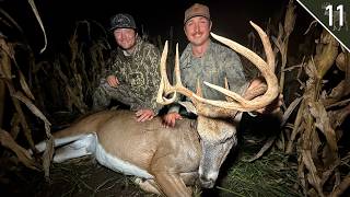 Bow Hunting Bucks in Standing Corn!!! - (Early Season Deer Hunt)