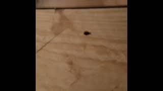 Structural steel angle brackets problems on site.