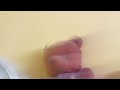 World Fun Wide LIVE STREAM